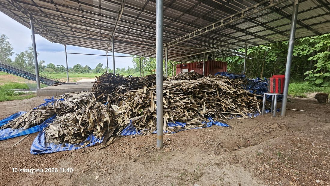 ผลผลิตกฤษณาที่เก็บเกี่ยวจริง