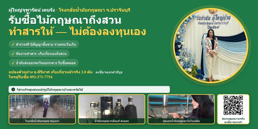 ไวนิลกฤษณา